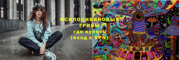 амф Зеленодольск