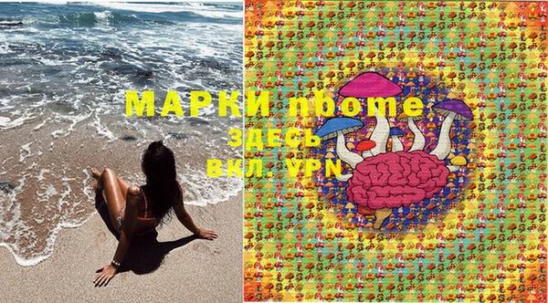 амф Зеленодольск