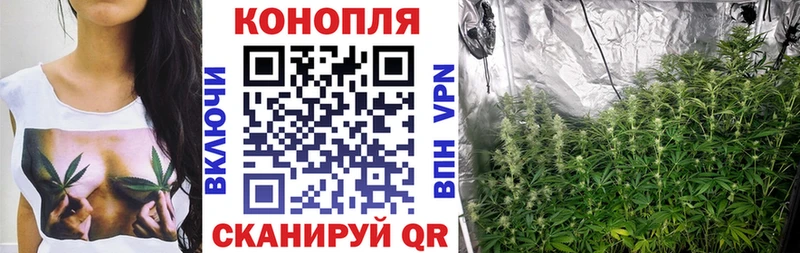Купить  Льгов  Конопля AK-47 